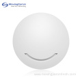 Mini Wifi5 1200Mbps Dualband Indoor Enterprise Wireless Ap